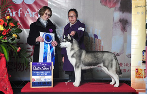 2011��3��3-4�գ����A�����݃ɵأ����փ�·��ِ�R������