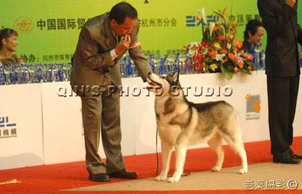 2005�����׌Ç��HȫȮ�N�u��ِ, Blocker �A��BOB