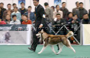 2005�����������׌Ç��H����չ,ROEMOֱ�OŮCATHLEEN�A��BOB