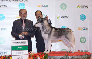 2006��11��5�գ�2006CKUȫȮ�N���ϣ����H����܊չ��Blocker �A�ãң£ɣ�