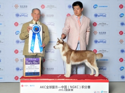 2012��9�±���NGKC�팚С���t���{�ב���