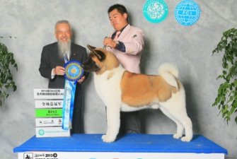 2013��11���K��CKU��ϲ��ʿ��Bruce����Ї���ꑡ�9���g��ϵ���ﲨ�����s�@OPEN BIS2����ʿ��Angle�s�@PBIS3��PBIS4