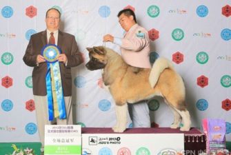 �팚Ȯ�I��2013�������Y�^ȥ��չ��δ��~