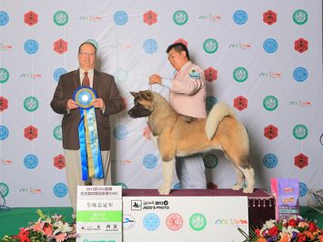 ��ϲ��ϵ����FOREST�s�@CKU����վOPEN BIS2��BIS3��ʿ��SPARK����Ї����