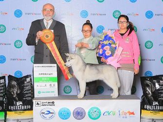 ��ϲ��ʿ������@��2013��4���Ͼ�CKU BABY BIS1��BRUCE�@��PUPPY BIS3