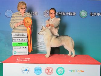 2013��5���K��CKU�팚��ʿ��BBIS1��BBIS2��PBIS2������BBIS2����ϵ����COBO  ��ʿ�漪�Z�������_ĦPrettyCKU���