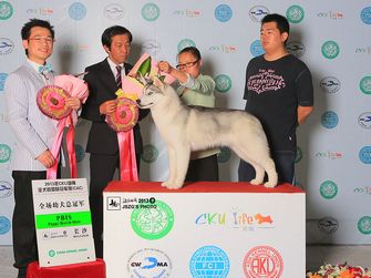 2013��5���LɳCKU��ʿ��Noble's Seal JS �@���LɳCKU�Ĉ�BIS1