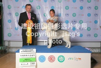 2013��9��ǧ�u����ʿ��Wisdom�s�@BABY BIS3 ,��ϵ����Forest�s�@BIG2����ʿ���������Ї���ꑹ�܊