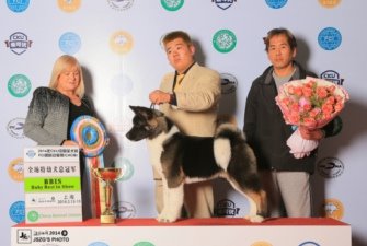 2014��3���Ϻ�CKU�팚Ȯ�I�ل��ѿ������xָ���ւ�~