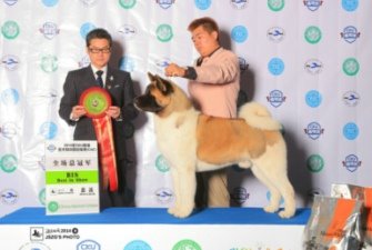 2014��3�´�ϪCKU�팚��ʿ�����ϵ�����ٴδ�@ȫ��