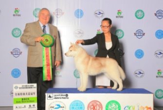 2014�꺼��CKU�팚��С�����ٴβ�ؓ��������ʿ�桢��ϵ���＊��BIS