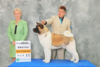 2014��3��29��30���K��CKU  ����֮���l�c���h���������l~��̥ͬ���ð���OPEN BIS