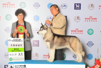 žž�؁��ˣ�������һ��BIS��������