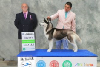 2014��4��26��27���K��CKU ��(l��i)��Ȯ�I(y��)�ٴδ�@ȫ�٣����x��λָ��(d��o)�ւ�~������