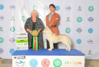 �Ї�(gu��)������ֳ�����ʹ��������ȮSONATAһ̥BIS��Ȯ������(qi��ng)��(w��n)���ķ�ֳ��