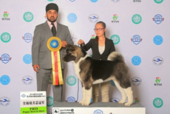 2014��5��17��18�ս��K�B�Ƹ�CKU����(l��i)����С���ل�(chu��ng)�ѿ�(j��)~