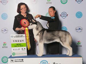 �����η�����L(f��ng)��ϲ���ֵ��˱�ِ�r(sh��)��(ji��)����(l��i)����С���^�m(x��)��(chu��ng)���x�ͣ�������L(zh��ng)