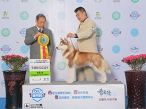 2015�������CKU��(l��i)��Ȯ�I(y��)���(sh��)���l(f��)�����bǰ�M(j��n)~