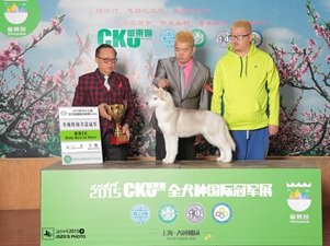 2015��3��CKU�Ϻ���F(tu��n)�҈@վ����(l��i)��С��������L(f��ng)�l(f��)���ٽ��م�~��