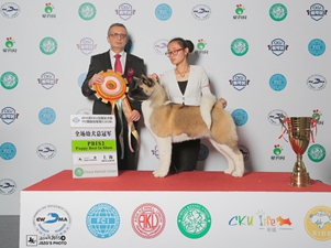 2015��3��CKU�Ϻ������^վ����(l��i)��Ȯ�I(y��)�^�m(x��)�Z��~