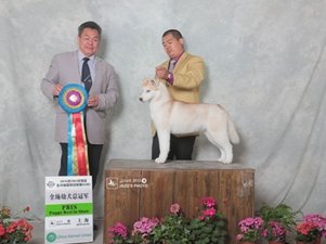 2015��5��CKU �Ϻ���F(tu��n)�҈@վ����(l��i)��Ȯ�I(y��)�p��(l��)���\~