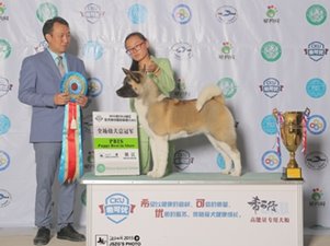 2015��5���(zh��n)��CKU����(l��i)��Ȯ�I(y��)����ِ�¼��\