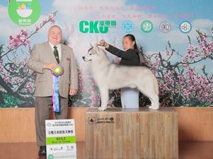 2015��6��CKU �Ϻ���F(tu��n)�҈@վ����(l��i)��Ȯ�I(y��)�p��(l��)���\~