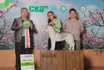 2015��8��CKU �Ϻ���F(tu��n)�҈@վ����(l��i)��Ȯ�I(y��)�p��(l��)���\~