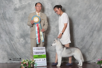 2015��9��CKU �Ϻ���F(tu��n)�҈@վ����(l��i)��Ȯ�I(y��)�p��(l��)���\~