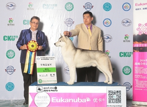 20166CKUȫȮN܊չ팚ȮI(y)ل(chung)ѿ