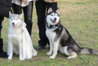 20131220 ˇgl H֮ʿ Ů